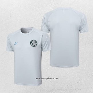 Traingsshirt Palmeiras 2023-2024 Grau